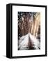 Instants of NY Series - Walking on a Path in Central Park in Winter-Philippe Hugonnard-Framed Stretched Canvas