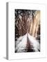 Instants of NY Series - Walking on a Path in Central Park in Winter-Philippe Hugonnard-Stretched Canvas