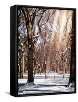 Instants of NY Series - Winter Snow in Central Park-Philippe Hugonnard-Framed Stretched Canvas