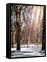 Instants of NY Series - Winter Snow in Central Park-Philippe Hugonnard-Framed Stretched Canvas