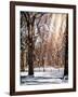 Instants of NY Series - Winter Snow in Central Park-Philippe Hugonnard-Framed Photographic Print