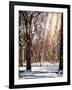 Instants of NY Series - Winter Snow in Central Park-Philippe Hugonnard-Framed Photographic Print