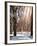 Instants of NY Series - Winter Snow in Central Park-Philippe Hugonnard-Framed Photographic Print