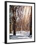 Instants of NY Series - Winter Snow in Central Park-Philippe Hugonnard-Framed Photographic Print