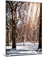 Instants of NY Series - Winter Snow in Central Park-Philippe Hugonnard-Mounted Photographic Print