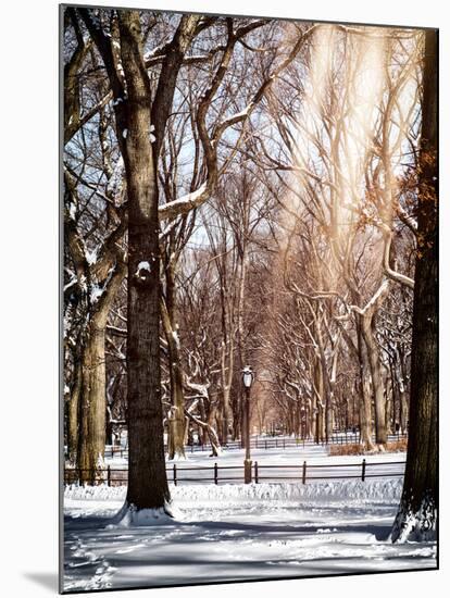 Instants of NY Series - Winter Snow in Central Park-Philippe Hugonnard-Mounted Photographic Print