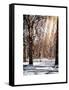 Instants of NY Series - Winter Snow in Central Park-Philippe Hugonnard-Framed Stretched Canvas