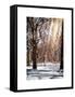 Instants of NY Series - Winter Snow in Central Park-Philippe Hugonnard-Framed Stretched Canvas