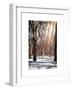 Instants of NY Series - Winter Snow in Central Park-Philippe Hugonnard-Framed Art Print