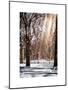 Instants of NY Series - Winter Snow in Central Park-Philippe Hugonnard-Mounted Art Print