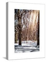 Instants of NY Series - Winter Snow in Central Park-Philippe Hugonnard-Stretched Canvas