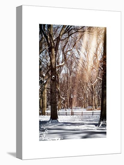 Instants of NY Series - Winter Snow in Central Park-Philippe Hugonnard-Stretched Canvas