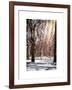 Instants of NY Series - Winter Snow in Central Park-Philippe Hugonnard-Framed Art Print