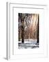 Instants of NY Series - Winter Snow in Central Park-Philippe Hugonnard-Framed Art Print