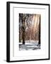 Instants of NY Series - Winter Snow in Central Park-Philippe Hugonnard-Framed Art Print