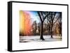 Instants of NY Series - Winter Snow in Central Park-Philippe Hugonnard-Framed Stretched Canvas