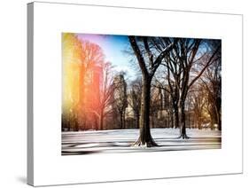 Instants of NY Series - Winter Snow in Central Park-Philippe Hugonnard-Stretched Canvas