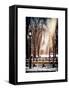 Instants of NY Series - Winter Snow with Street Lamp in Central Park View-Philippe Hugonnard-Framed Stretched Canvas