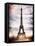 Instants of Paris Series - Eiffel Tower, Paris, France-Philippe Hugonnard-Framed Stretched Canvas