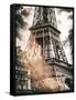 Instants of Series - Eiffel Tower - Paris, France-Philippe Hugonnard-Framed Stretched Canvas