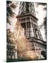 Instants of Series - Eiffel Tower - Paris, France-Philippe Hugonnard-Mounted Photographic Print
