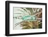 Instants of Series - Ocean Drive Sign - Miami Beach - Florida - USA-Philippe Hugonnard-Framed Photographic Print