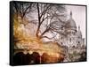 Instants of Series - Sacre-Cœur Basilica - Paris, France-Philippe Hugonnard-Framed Stretched Canvas