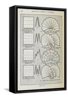 Instructions For Folding a Serviette Into a Fan Shape-Isabella Beeton-Framed Stretched Canvas