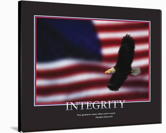 Integrity-null-Framed Stretched Canvas