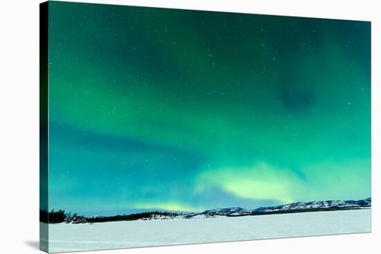 Intense Northern Lights or Aurora Borealis or Polar Lights on Moon Lit Night Sky over Winter Landsc-Pi-Lens-Stretched Canvas