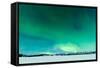 Intense Northern Lights or Aurora Borealis or Polar Lights on Moon Lit Night Sky over Winter Landsc-Pi-Lens-Framed Stretched Canvas