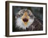 Intensity !!!-Alfred Forns-Framed Photographic Print