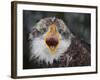 Intensity !!!-Alfred Forns-Framed Photographic Print