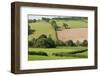 Intensivly Farmed and Grazed Farmland Next to Denmark Farm Conservation Centre, Lampeter, Wales, UK-Ross Hoddinott-Framed Photographic Print