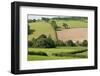 Intensivly Farmed and Grazed Farmland Next to Denmark Farm Conservation Centre, Lampeter, Wales, UK-Ross Hoddinott-Framed Photographic Print