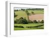 Intensivly Farmed and Grazed Farmland Next to Denmark Farm Conservation Centre, Lampeter, Wales, UK-Ross Hoddinott-Framed Photographic Print