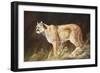 Intent-Trevor V. Swanson-Framed Giclee Print