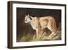 Intent-Trevor V. Swanson-Framed Premium Giclee Print