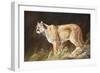 Intent-Trevor V. Swanson-Framed Premium Giclee Print