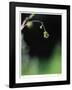 Intentional-Michelle Wermuth-Framed Giclee Print