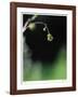 Intentional-Michelle Wermuth-Framed Giclee Print