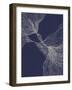 Interaction #1-Alisa Galitsyna-Framed Giclee Print