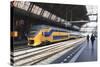 Intercity Train in a Platform at Central Station, Amsterdam, Netherlands, Europe-Amanda Hall-Stretched Canvas