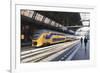 Intercity Train in a Platform at Central Station, Amsterdam, Netherlands, Europe-Amanda Hall-Framed Photographic Print