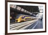 Intercity Train in a Platform at Central Station, Amsterdam, Netherlands, Europe-Amanda Hall-Framed Photographic Print