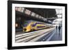 Intercity Train in a Platform at Central Station, Amsterdam, Netherlands, Europe-Amanda Hall-Framed Photographic Print