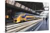 Intercity Train in a Platform at Central Station, Amsterdam, Netherlands, Europe-Amanda Hall-Stretched Canvas