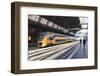 Intercity Train in a Platform at Central Station, Amsterdam, Netherlands, Europe-Amanda Hall-Framed Photographic Print