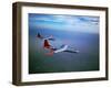 Intercontinental B-36 Bomber Flying over Texas Flatlands-Loomis Dean-Framed Photographic Print