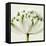 Interesting Astrantia Flower-Tom Quartermaine-Framed Stretched Canvas